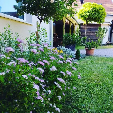 Apartment Porta Grande Balatonboglar
